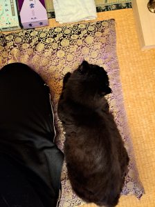今朝の冷え込み