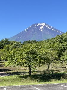 今朝の富士山