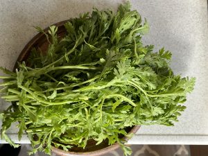 家庭菜園②