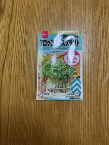 新芽
