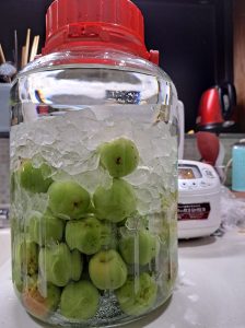 梅酒