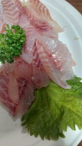 いさきの刺身