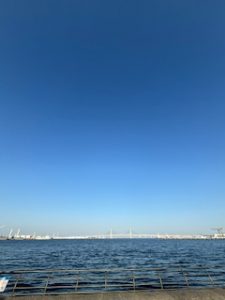 海