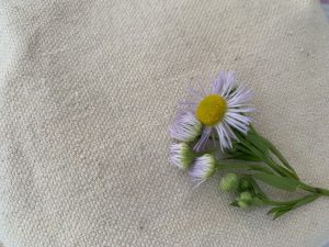 現場の花 *