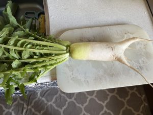 家庭菜園⑤