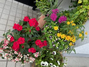 朝からバタバタ・・