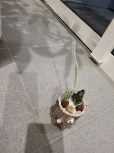 徒長