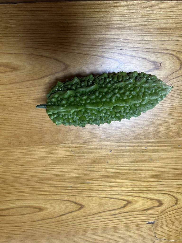 家庭菜園⑧