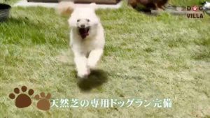 CM撮影