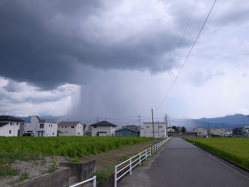 猛暑とゲリラ豪雨