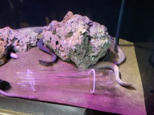 深海魚水族館