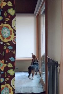 何を見ている？