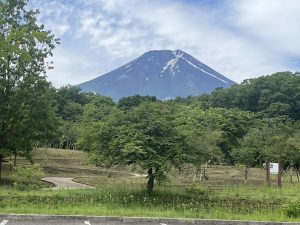 久しぶりの姿