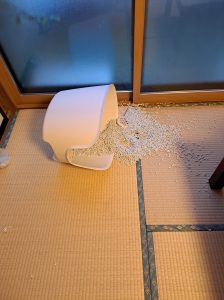 サア　大変