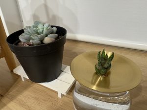 水耕栽培