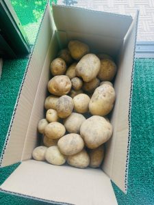 お裾分け ♣