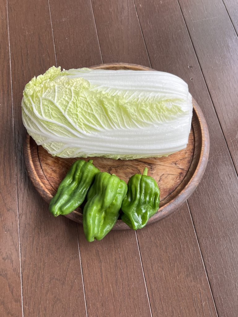 家庭菜園③
