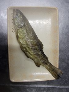ニジマスの塩焼き