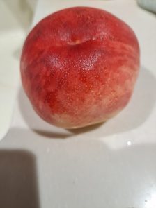 もも
