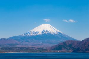 やっと撮れた