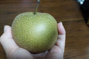 冨士きちの梨