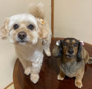 もう1年