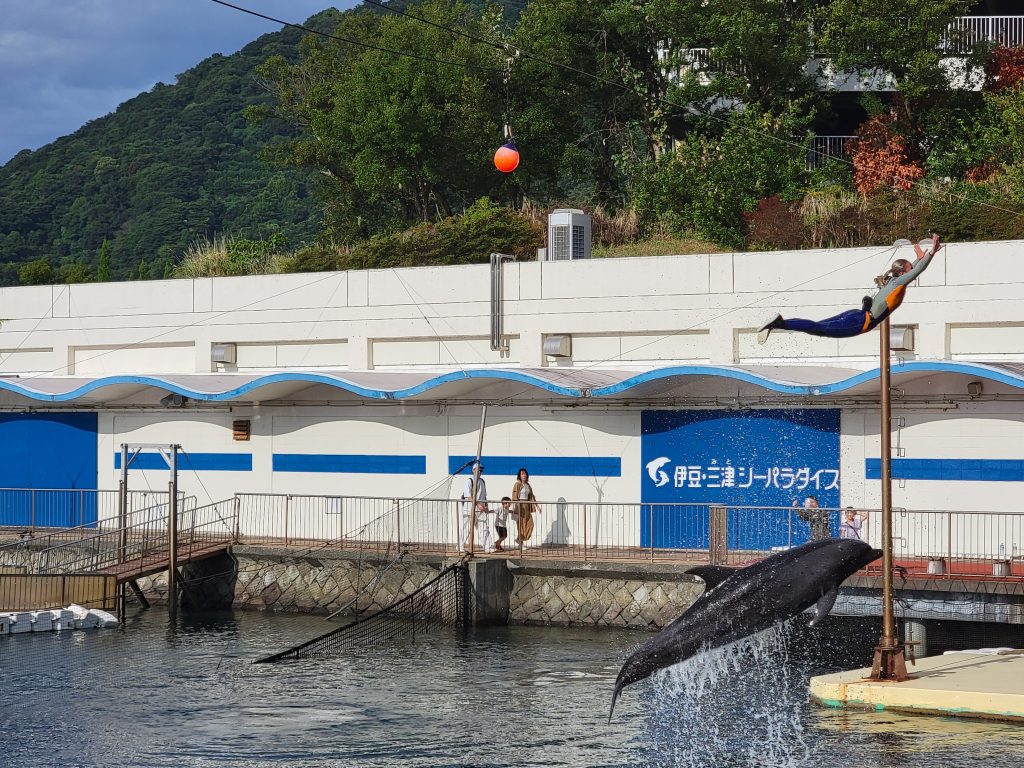伊豆三津シーパラダイス