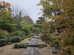 ハロウィンコンサート🎃