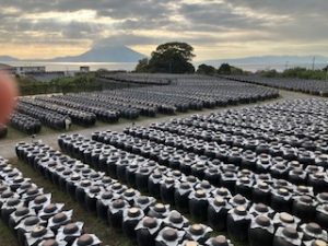 「黒酢」の効果