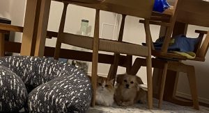 小さい頃から一緒なら