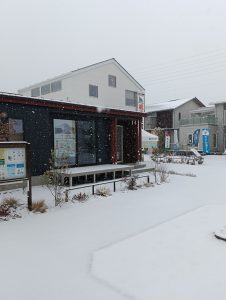 甲府も雪が降ってます。