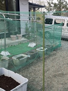 今年もやって来ました(^^♪