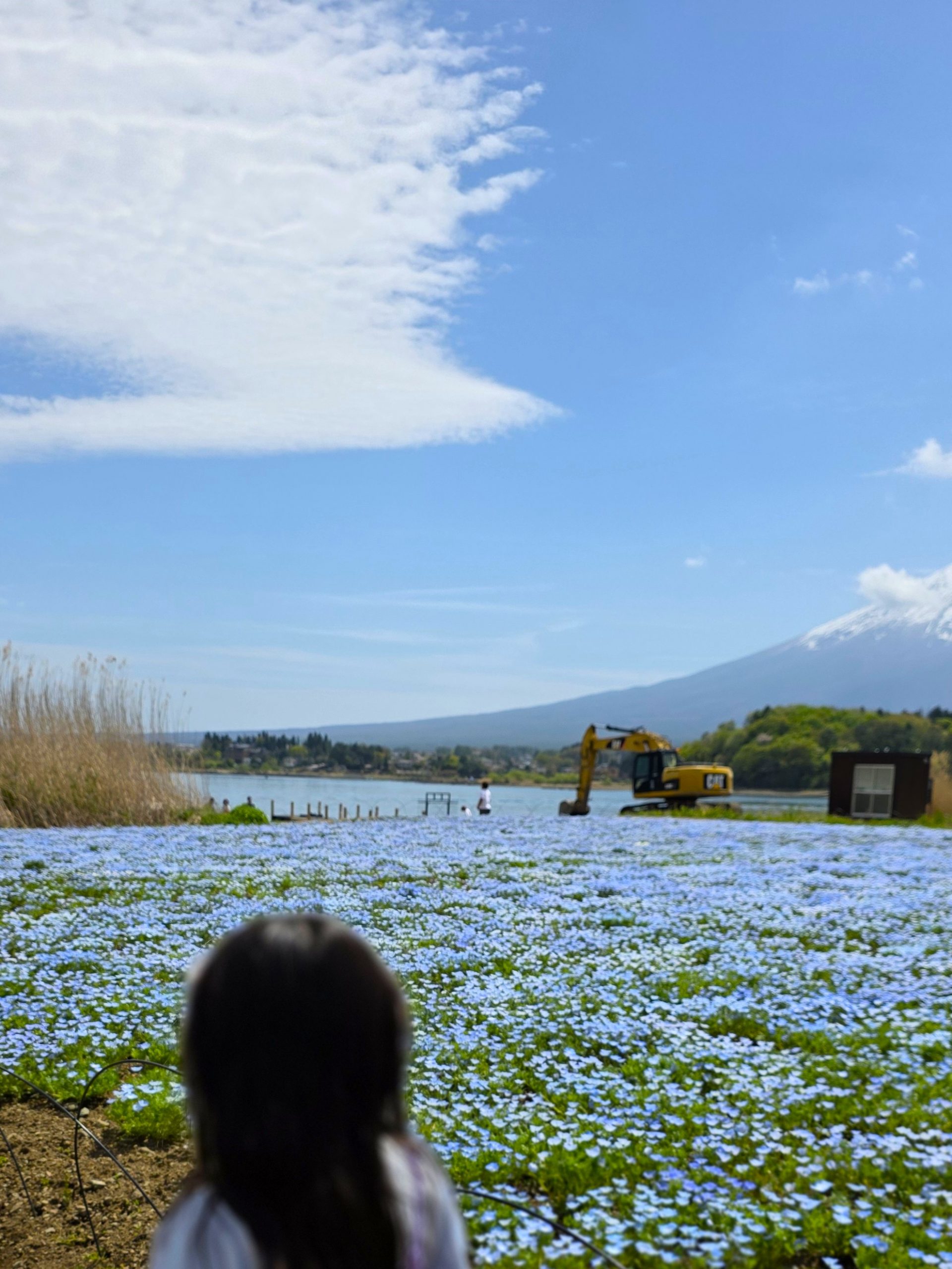 青の境界と、やがて土に還る鋼