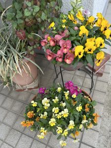 28℃だって。。