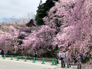 「旅行会社ツアーの魅力」