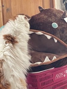 ぬいに沼ってますⅡ