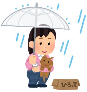 雨の中で透明な傘を差し、ダンボールに入った茶色い捨て猫を優しく抱きかかえる女性のイラスト