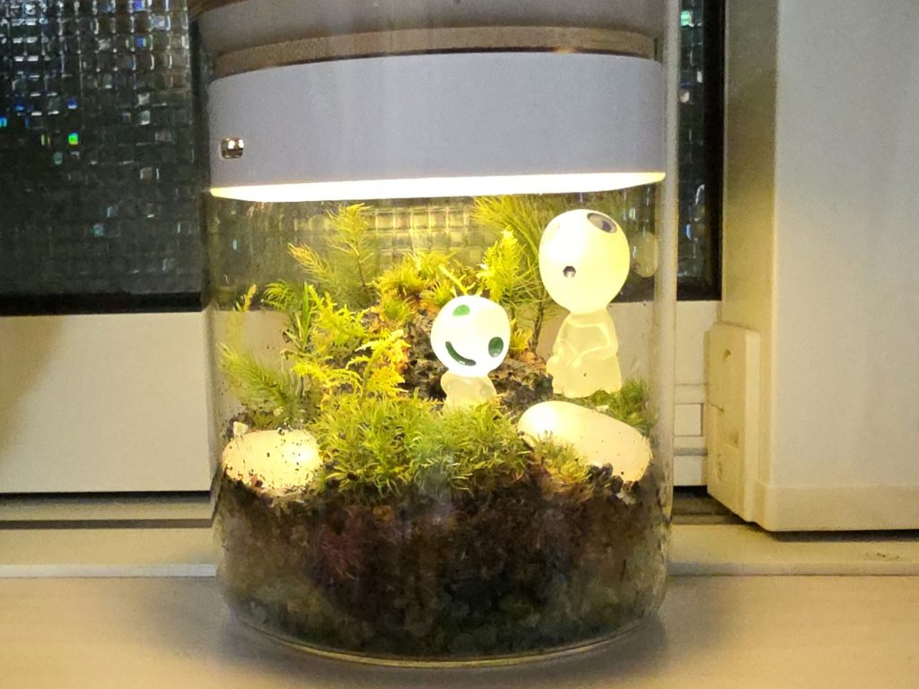 暗い場所でLEDライトに照らされ、蓄光石とこだまのフィギュアが幻想的に光るもののけ姫風の苔テラリウム