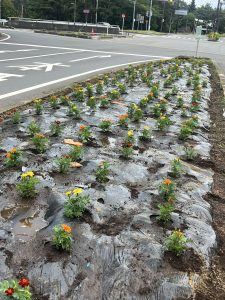花植えボランティア