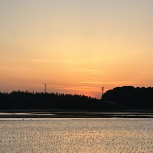 夕焼け