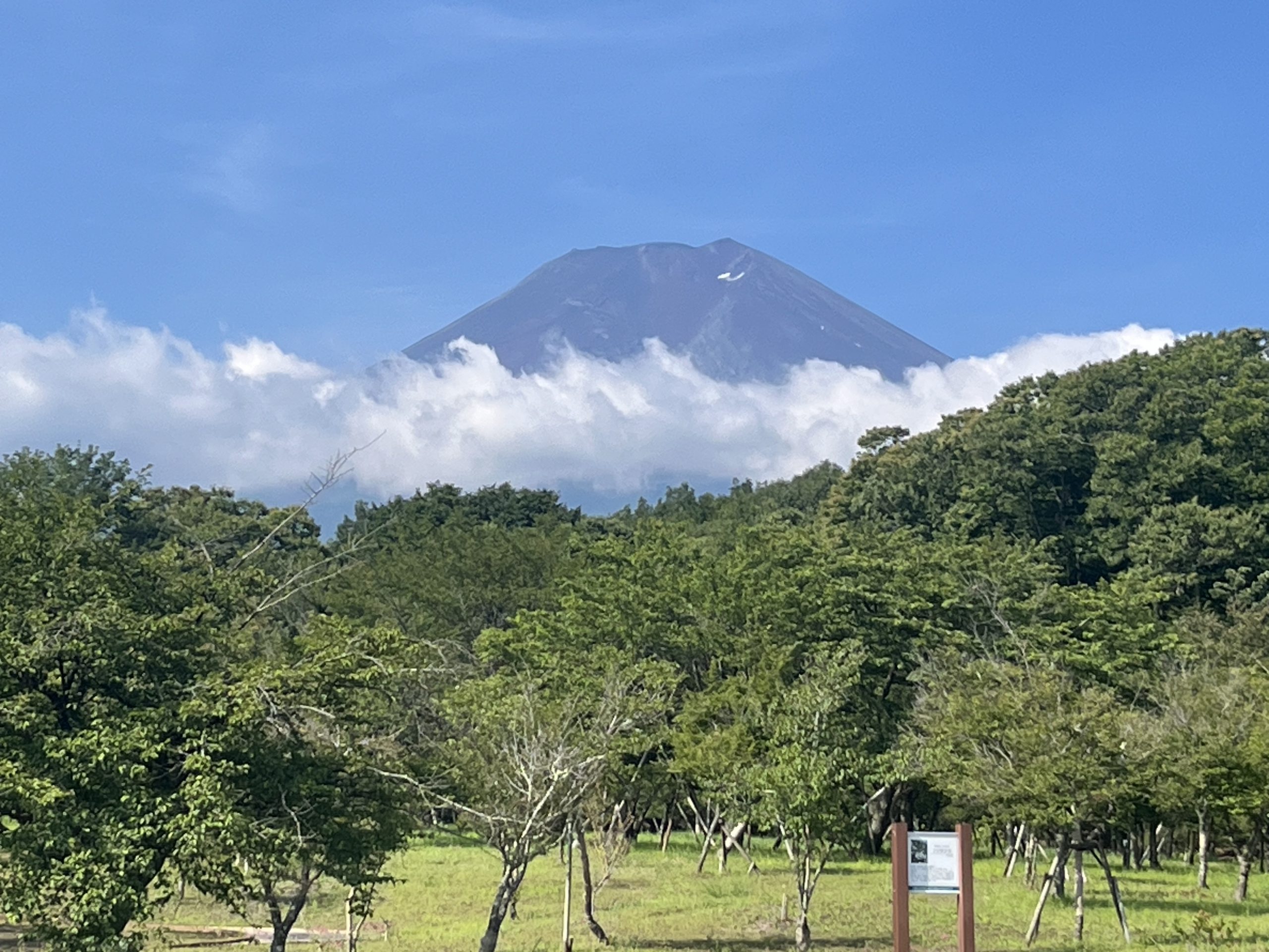 今朝の富士山