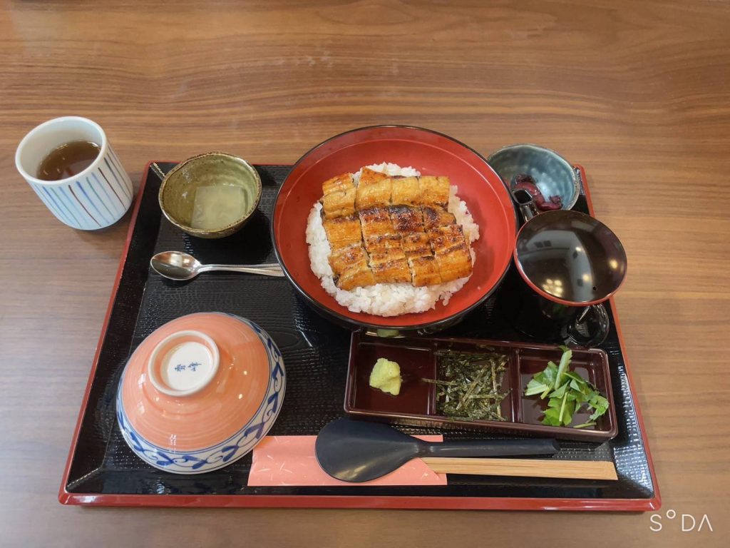 うなぎ豊漁！！