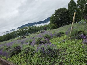 河口湖