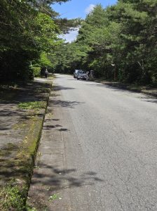 草刈り、剪定