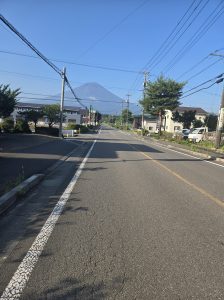 朝の散歩