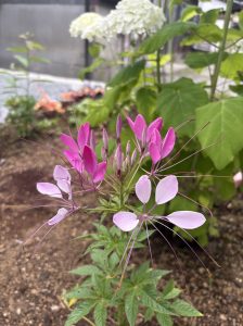 都留から来ました ❁