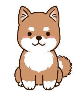 柴犬最強説