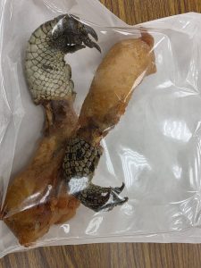 ワニの手