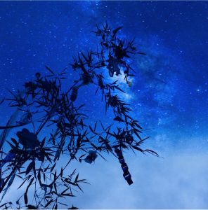 7月7日 大大大吉日 ♣