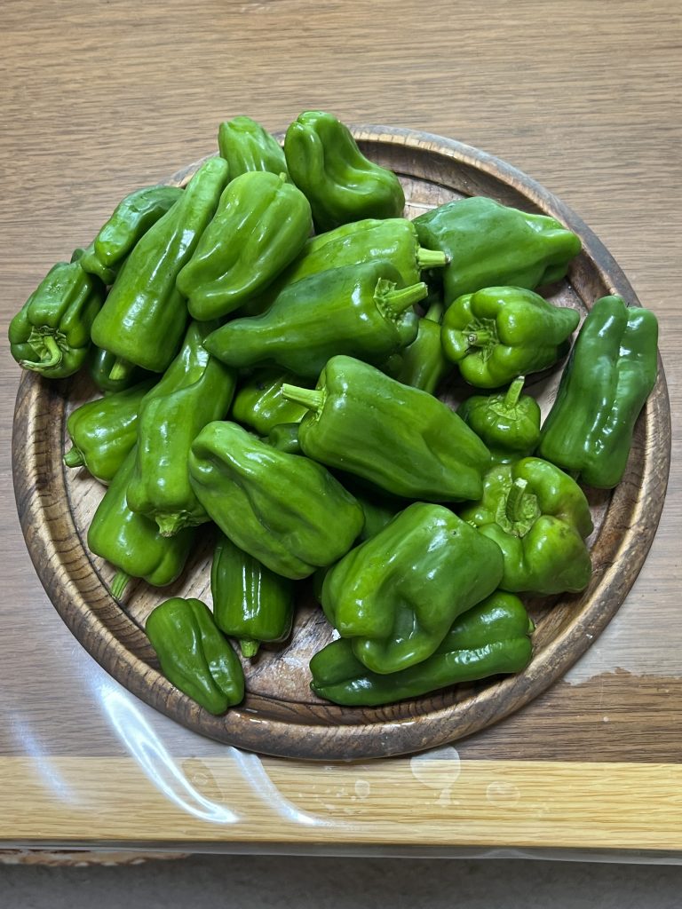 家庭菜園⑥